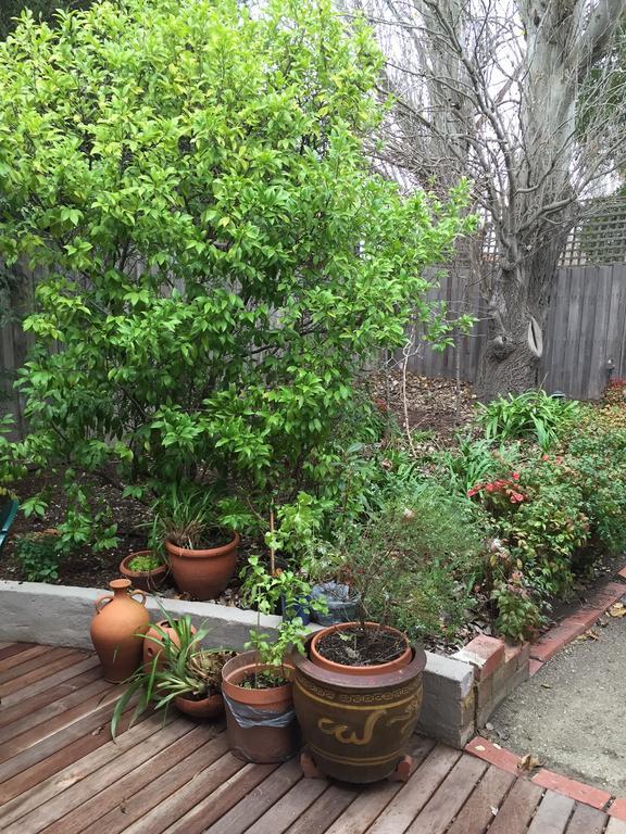 Garden Cottage St Kilda Melbourne Exteriér fotografie